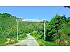 BODRUM HVL. 1 SAAT MESAFEDE 1504 M2 KÖYİÇİ HARİKA BAHÇE