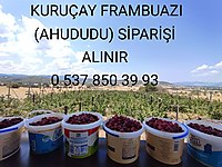 FRAMBUAZ (AHUDUDU) ve REÇELİ