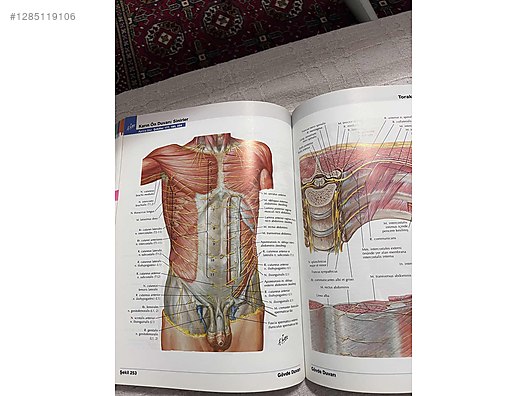 Used & Brand New Items / Books, Magazines & Movies / Information & Reference Books / Health & Medicine