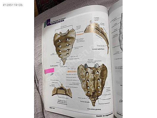 Used & Brand New Items / Books, Magazines & Movies / Information & Reference Books / Health & Medicine