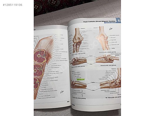 Used & Brand New Items / Books, Magazines & Movies / Information & Reference Books / Health & Medicine