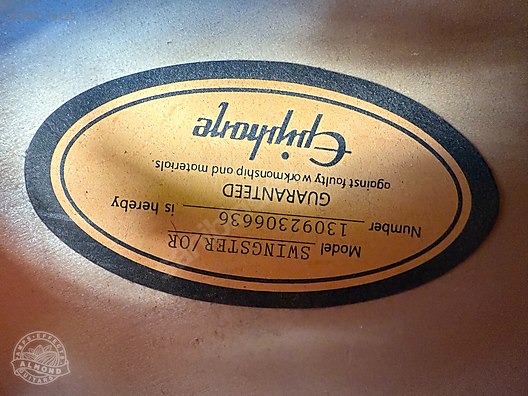 Epiphone Elektro Gitar