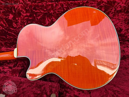 Epiphone Elektro Gitar