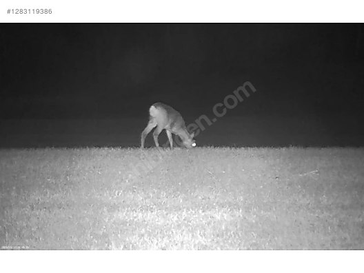 Used & Brand New Items / Cameras & Photographic Equipment / Binoculars