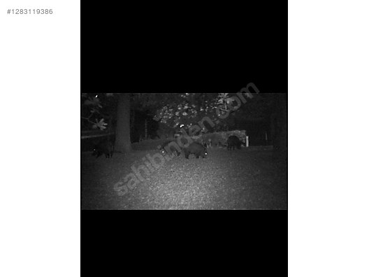 Used & Brand New Items / Cameras & Photographic Equipment / Binoculars