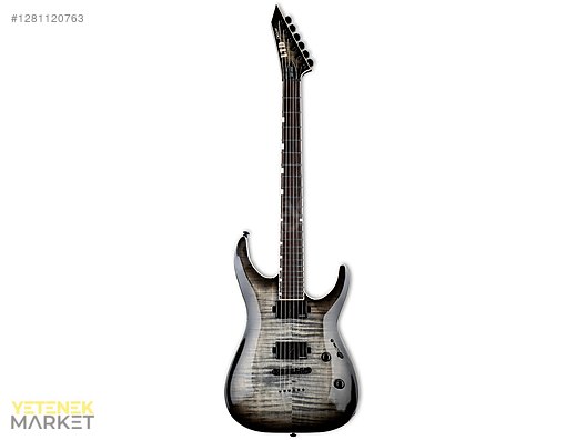 ESP Elektro Gitar