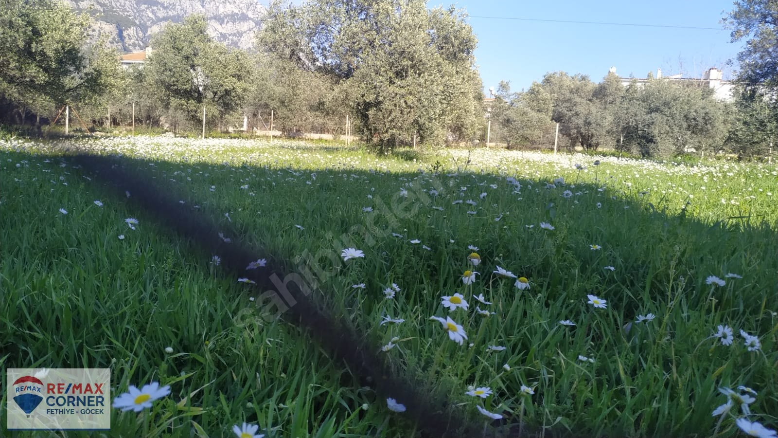 Köyceğiz Kiralık Daire Panoramik Göl Manzaralı Kiralık Daire