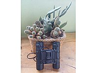 TASCO 12X25 Siyah metal avcı dürbünü