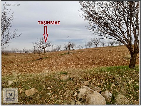 Bankadan Satilik Sanliurfa Bozova 96250m2 Bag Ve Fistiklik Satilik Arsa Ilanlari Sahibinden Com Da 905123136