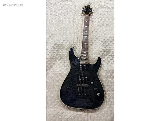 Schecter Elektro Gitar
