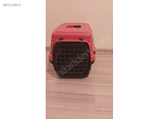 Basic Maintenance Kedi Baslangic Seti Taragina Kadar At Sahibinden Com 872125012