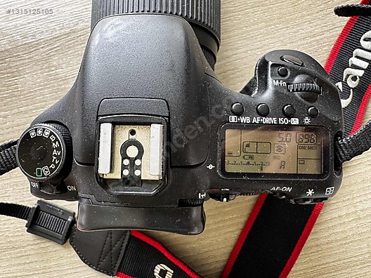 DSLR / Canon / EOS 7D / CANON EOS 7D + Sigma 70-300 Lens