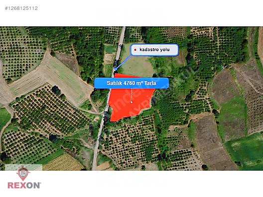 SAKARYA KAYNARCA SABIRLI'DA SATILIK TEK TAPULU 4760 m² TARLA #1268125112
