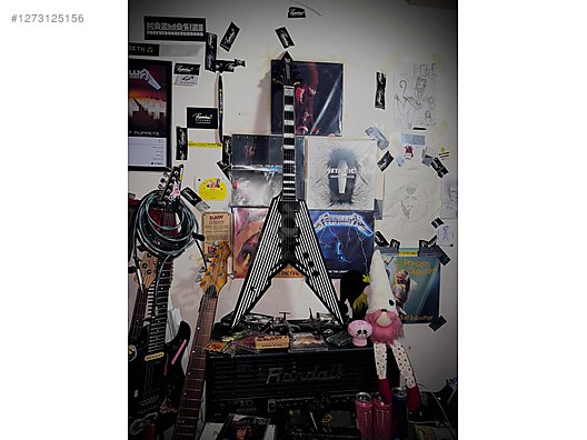 Schecter Elektro Gitar