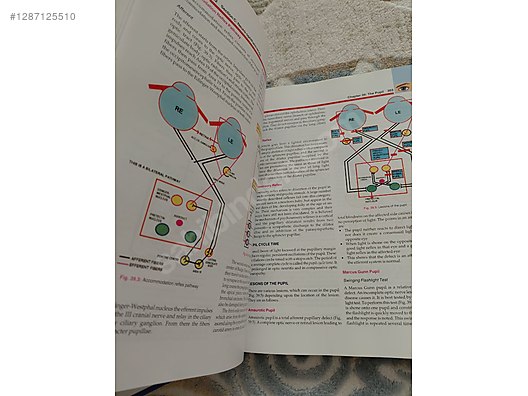 İkinci El İngilizce Eğitim Seti & Ders Kitabı Çeşitleri