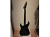 LTD Elektro Gitar