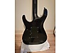 LTD Elektro Gitar