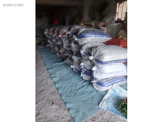 İkinci El ve Sıfır Alışveriş / Yiyecek & İçecek / Kuruyemiş