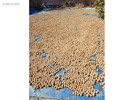 İkinci El ve Sıfır Alışveriş / Yiyecek & İçecek / Kuruyemiş