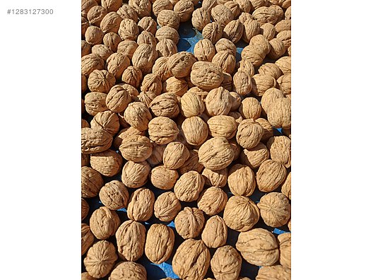 İkinci El ve Sıfır Alışveriş / Yiyecek & İçecek / Kuruyemiş