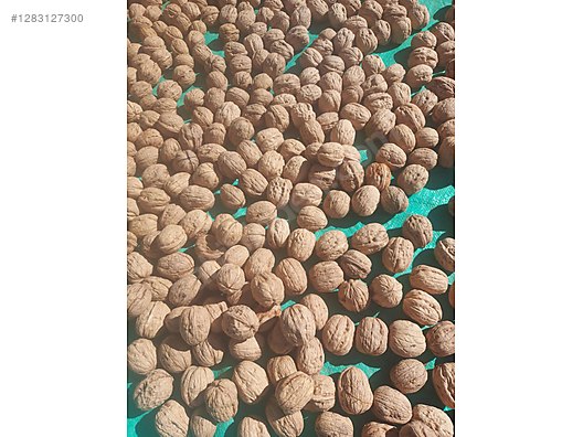 İkinci El ve Sıfır Alışveriş / Yiyecek & İçecek / Kuruyemiş