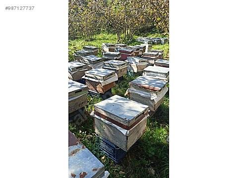 9ieqmjdi0fkfim 9ieqmjdi0fkfim