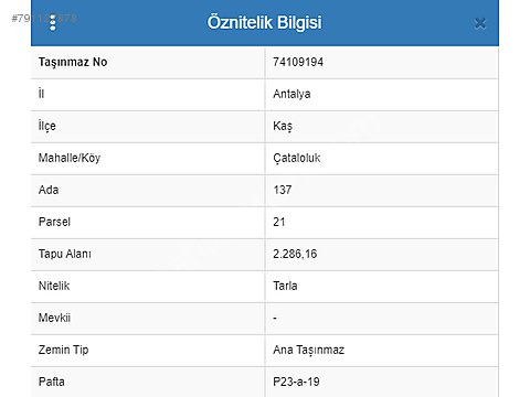 Antalya Kas Cataloluk Koyunde Acill Satilik Satilik Arsa Ilanlari Sahibinden Com Da 791127878