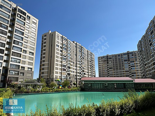 çevrimiçi insanlarla tanış erkek polar sabahlık lcw