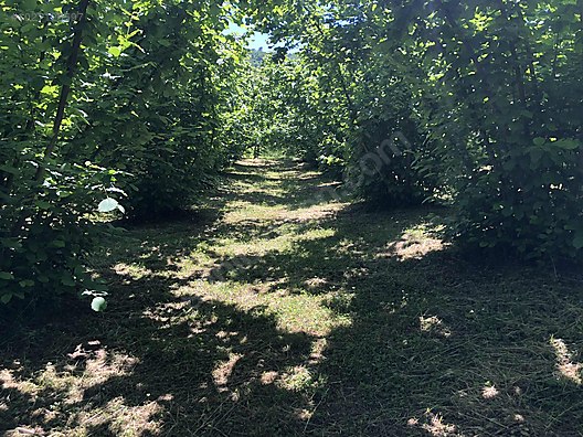 Köy imar planı içinde 2 kat ev yapılabilir Satılık Arsa İlanları