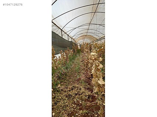 Used & Brand New Items / Garden & Home Improvement / Wholesale Lots