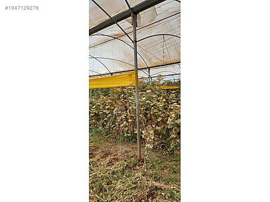 Used & Brand New Items / Garden & Home Improvement / Wholesale Lots