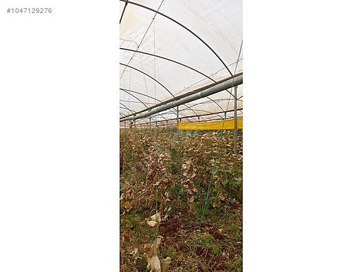 Used & Brand New Items / Garden & Home Improvement / Wholesale Lots