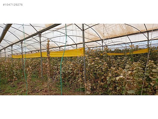 Used & Brand New Items / Garden & Home Improvement / Wholesale Lots