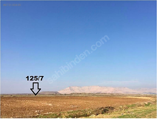 mardin kiziltepe de 32 756 m2 satilik tarla bankadan satilik arsa ilanlari sahibinden com da 973130435 mardin kiziltepe de 32 756 m2 satilik tarla bankadan satilik arsa ilanlari sahibinden com da 973130435