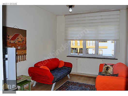 duzce merkez 3 1 kiralik daire esyali kiralik daire ilanlari sahibinden com da 981131035