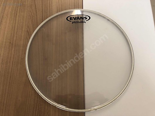 Evans g12 shop clear