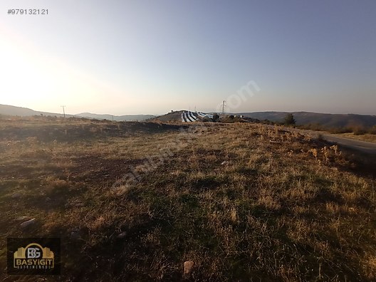 manisa akhisar kabaagackiran mah 90 donum satilik bos tarla satilik arsa ilanlari sahibinden com da 979132121