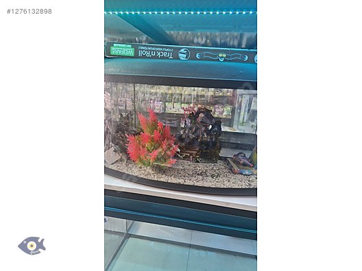 Pets & Livestock / Accessories / Fish / Aquarium Supplies