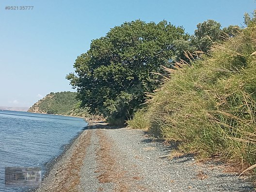 balikesir bandirma prestij emlak emlak ilanlari sahibinden com da balikesir bandirma prestij emlak emlak ilanlari sahibinden com da