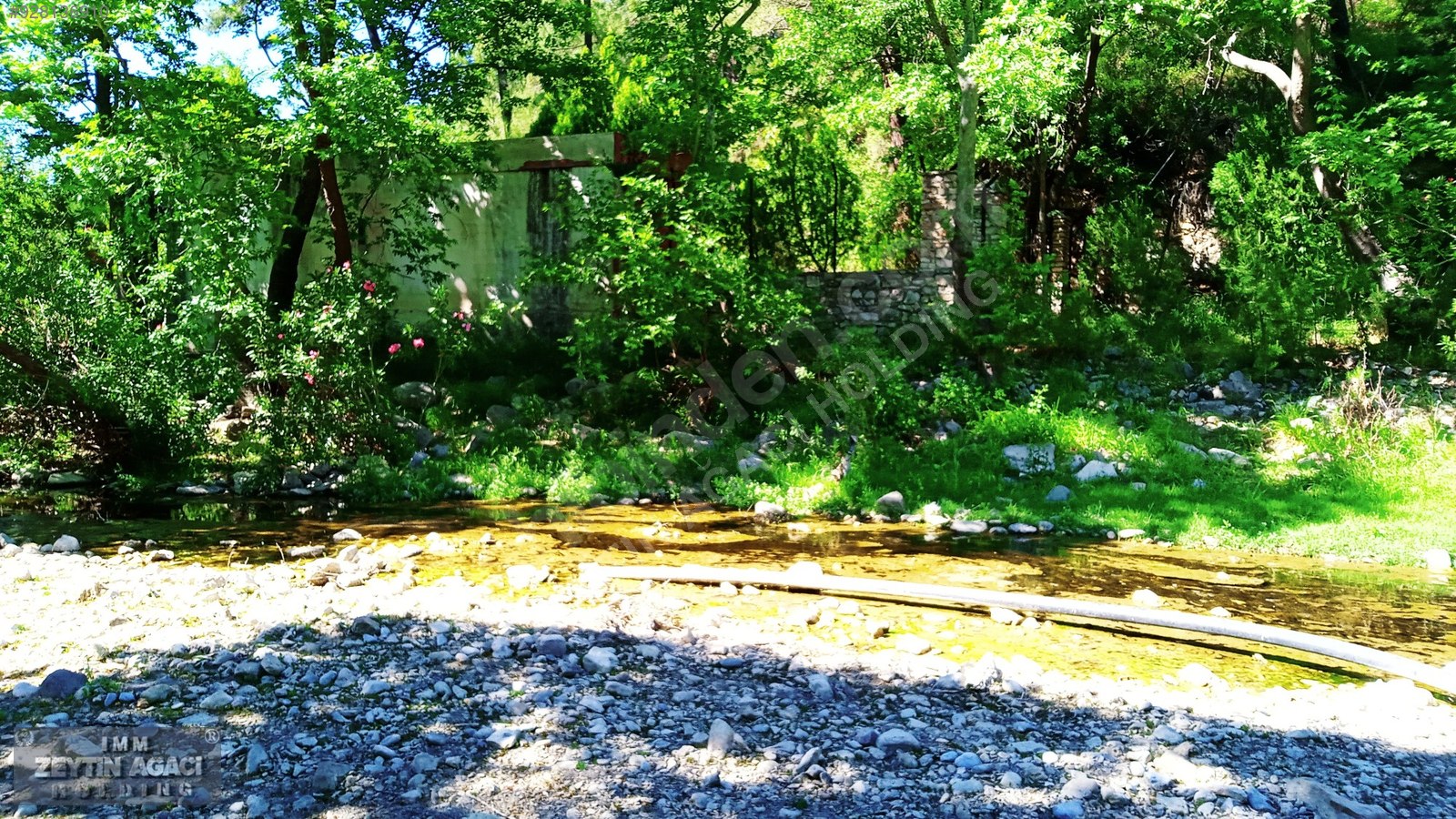 MİLAS KARACAHİSAR�DA EV YAPILABİLİR SUÇIKAN MEVKİSİNDE TARLA Satılık