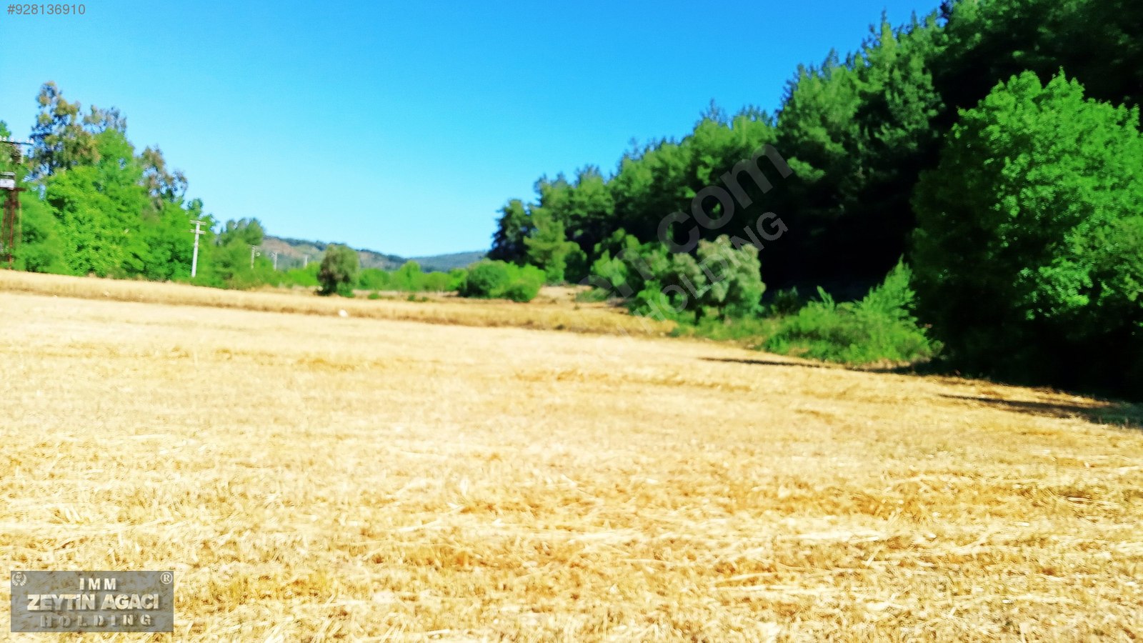 MİLAS KARACAHİSAR�DA EV YAPILABİLİR SUÇIKAN MEVKİSİNDE TARLA Satılık