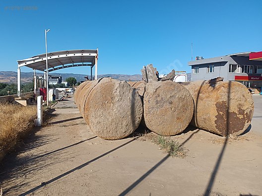 İkinci El ve Sıfır Alışveriş / Bahçe & Yapı Market / Yapı Malzemeleri / Sıhhi Tesisat / Su Deposu