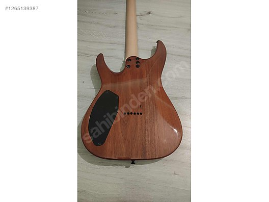 Schecter Elektro Gitar