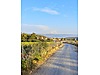 KARACABEY İKİZCE'DE YOLA CEPHE 294 m2 HOBİ BAHÇESİ