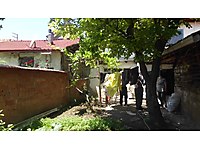 gumushacikoy emlak ofisinden satilik mustakil ev fiyatlari sahibinden com da gumushacikoy emlak ofisinden satilik mustakil ev fiyatlari sahibinden com da