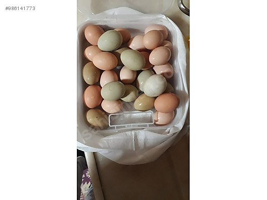 chw9u6 uehyz5m chw9u6 uehyz5m