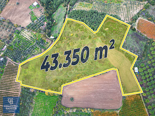ÇANAKKALE LAPSEKİ UMURBEY'DE SATILIK 43.350m2 TARLA