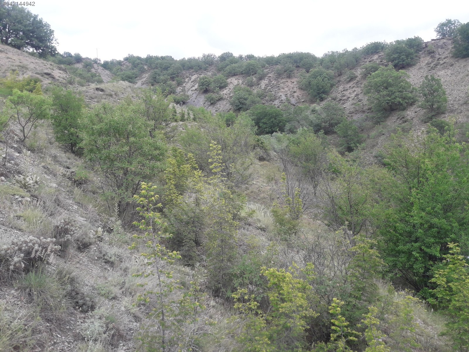 ÇUBUK SARISU DA SATILIK MÜSTAKİL EV Satılık Müstakil Ev İlanları