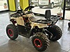 Otomatik Kuba ATV