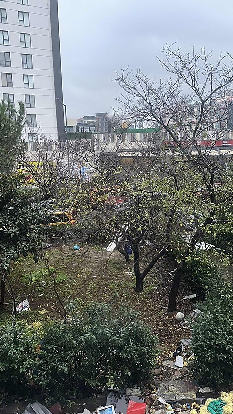 25 yıllık ağustos eriği